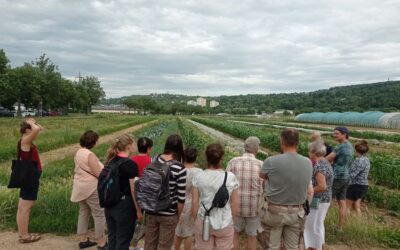 „Wir bauen alles an, von A bis Z, von Ackersalat bis Zwiebel“ Zu Besuch bei den Esslinger Gärtnern in der Talaue zwischen Stuttgart-Hedelfingen und Esslingen-Weil