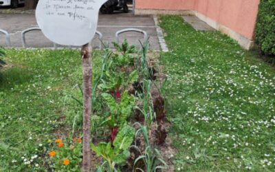 Vorfreude am Nachbarschaftsbeet „Gemüsegärtle“