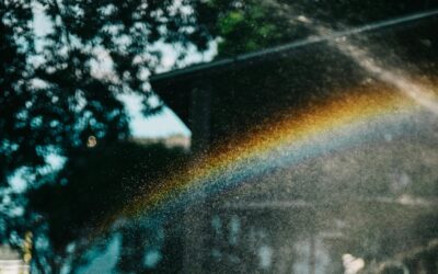 14.02.25 Eine Allmende in Gaisburg?