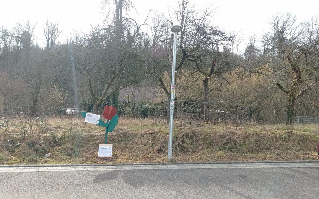 Essbare Nachbarschaft – Mach mit bei der Allmende Am Bergwald