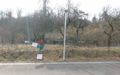 Essbare Nachbarschaft – Mach mit bei der Allmende Am Bergwald