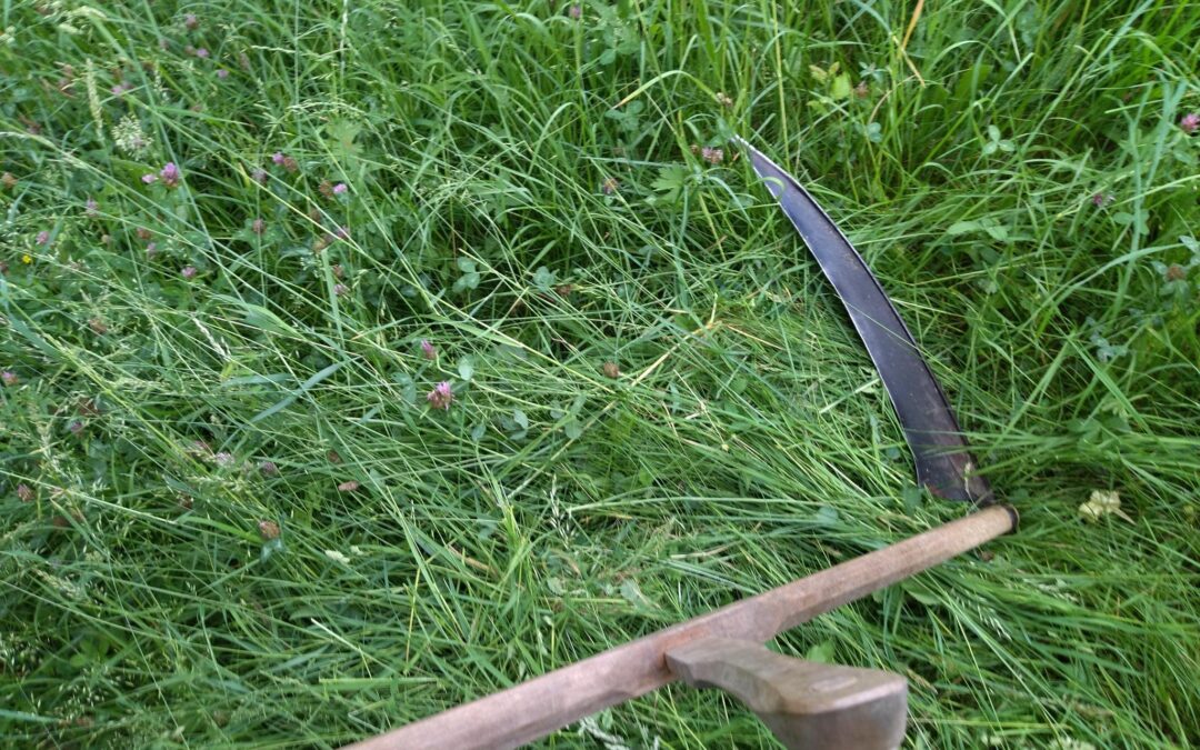 Workshop: Mähen mit der Sense