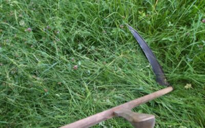 Workshop: Mähen mit der Sense