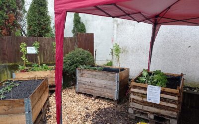 31.03.-15.09.26 Bibliotheksgarten-Reihe: Pop-Up-Naschbeete neben der Stadtteilbibliothek