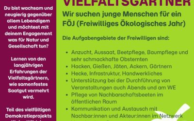 Mach dein Freiwilliges Soziales Jahr (FÖJ) bei uns